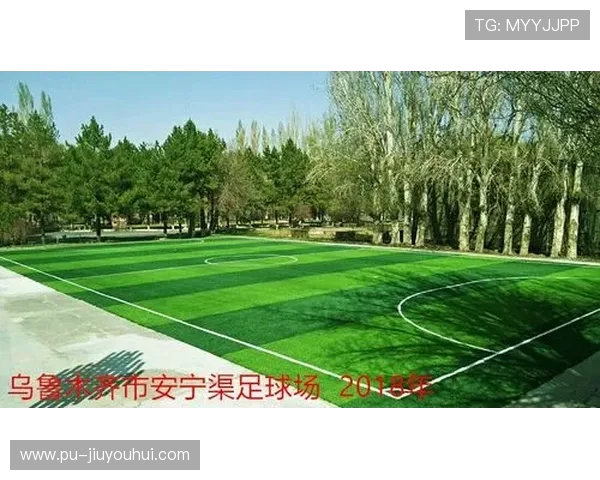 全面解析足球天然草场地年度养护成本构成与优化策略研究实践指南