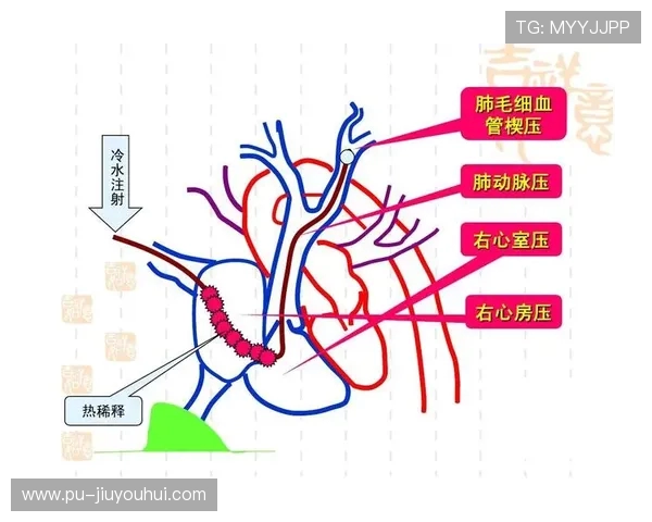 围绕玉足球脚底导管必备的全面应用与保养技巧深度解析实用指南篇 围绕玉足球脚底导管必备的全面应用与保养技巧深度解析实用指南篇